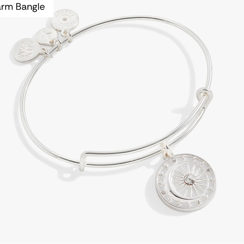 Alex and Ani Cosmic BalanceSilver Charm Bangle